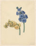 Two Hyacinths - Maria Margaretha van Os — artwork view