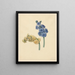 Two Hyacinths - Maria Margaretha van Os — framed artwork on a wall