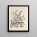La transformación milagrosa de las orugas y la extraña comida de las flores Pl037 - Maria Sibylla Merian — cuadro enmarcado en la pared