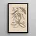 Dissertation on the generation and metamorphoses of insects from Suriname Pl05 - Maria Sibylla Merian — framed artwork on a wall