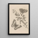 Dissertation sur la génération et les métamorphoses des insectes du Surinam Pl07 - Maria Sibylla Merian — framed artwork on a wall