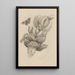Dissertation sur la génération et les métamorphoses des insectes du Surinam Pl12 - Maria Sibylla Merian — framed artwork on a wall