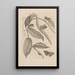 Dissertation sur la génération et les métamorphoses des insectes du Surinam Pl25 - Maria Sibylla Merian — framed artwork on a wall