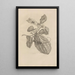 Dissertation sur la génération et les métamorphoses des insectes du Surinam Pl28 - Maria Sibylla Merian — framed artwork on a wall