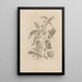 Dissertatio de generación y metamorfosis de los insectos surinameses Pl55 - Maria Sibylla Merian — cuadro enmarcado en la pared