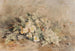 Un ramo de rosas silvestres - Marie Egner — vista de la obra