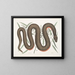 Un Recinoides y la corteza de Ilathera, Anguis y la serpiente de vientre cobre - Mark Catesby — cuadro enmarcado en la pared