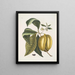Anona with the fruit of fruit c - Mark Catesby — framed artwork on a wall