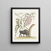 Bisonte de América Pseudo Acacia hispida con flores rosas - Mark Catesby — cuadro enmarcado en la pared