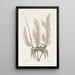 Cancer arenarius El cangrejo de arena Lithophyton c - Mark Catesby — cuadro enmarcado en la pared
