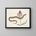 Cécilia Maculata, la serpiente de cristal, crisantemo - Mark Catesby — cuadro enmarcado en la pared