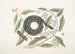 Frutex with coiled snake The Chain Snake - Mark Catesby — artwork view