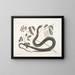 Frutex c Anguis c La Serpiente Negra - Mark Catesby — cuadro enmarcado en la pared