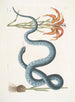 Lilium c El Lirio Rojo Anguis c La Serpiente Wampum - Mark Catesby — vista de la obra