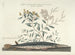imágenes de peces, serpientes, insectos y otros animales así como de algunas plantas - Mark Catesby — vista de la obra