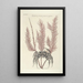 Piscium serpentum insectorum aliorumque nonnullorum animalum nec non plantarum quarundam imagines Pl035 - Mark Catesby — cuadro enmarcado en la pared