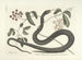 Imágenes de peces, serpientes, insectos y otros animales así como de algunas plantas Pl048 - Mark Catesby — vista de la obra
