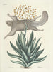 peces, serpientes, insectos y algunos otros animales, así como algunas fotos de plantas Pl077 - Mark Catesby — vista de la obra