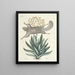 peces, serpientes, insectos y algunos otros animales, así como algunas fotos de plantas Pl077 - Mark Catesby — cuadro enmarcado en la pared