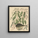the globe fish Tetrodon lagocephalus - Mark Catesby — framed artwork on a wall