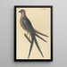 The Swallow-tailed Hawk Falco furcatus - Mark Catesby — framed artwork on a wall