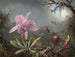 Orchidée Cattleya et trois colibris - Martin Johnson Heade — vista de la obra