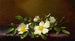 Rosas Cherokee sobre una tela violeta - Martin Johnson Heade — vista de la obra