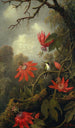 Colibrí y passifloras - Martin Johnson Heade — vista de la obra