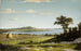 Rivage de Rhode Island - Martin Johnson Heade — vista de la obra