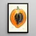 Carica papaya - Mary Daisy Arnold — cuadro enmarcado en la pared