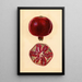 Punica granatum Granada - Mary Daisy Arnold — cuadro enmarcado en la pared