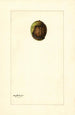 desconocido - Mary Daisy Arnold — vista de la obra