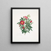 Mélange rose - Mary Lawrance — framed artwork on a wall