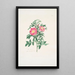 Rosa carolina - Mary Lawrance — cuadro enmarcado en la pared