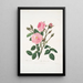Rosa musgosa - Mary Lawrance — cuadro enmarcado en la pared