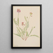 Vesce alpino Astragalus bourgovii - Mary Vaux Walcott — cuadro enmarcado en la pared