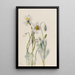 Poppy of Merriam Arctomecon merriami - Mary Vaux Walcott — framed artwork on a wall
