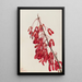 Arce de Caroline Acer carolinianum - Mary Vaux Walcott — cuadro enmarcado en la pared