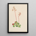 Saxifrage à feuilles persistantes Leptarrhena pyrolifolia - Mary Vaux Walcott — framed artwork on a wall