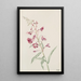 Epíbolo en espiga Epilobium angustifolium - Mary Vaux Walcott — cuadro enmarcado en la pared