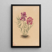 Flores del Mesa - Mary Vaux Walcott — cuadro enmarcado en la pared
