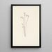 Monotrope uniflore Thalesia uniflora - Mary Vaux Walcott — framed artwork on a wall