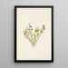 Berry of the Forest Vaccinium scoparium - Mary Vaux Walcott — framed artwork on a wall