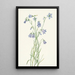 Campanula à feuilles rondes Campanula rotundifolia - Mary Vaux Walcott — framed artwork on a wall