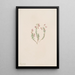 Bruyère Phyllodoce intermedia - Mary Vaux Walcott — framed artwork on a wall