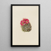 Cactus Hedgehog Coryphantha arizonica - Mary Vaux Walcott — framed artwork on a wall