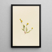 Hieracium gracile - Mary Vaux Walcott — cuadro enmarcado en la pared