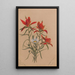 Castilléjie Castilleja rhexifolia - Mary Vaux Walcott — framed artwork on a wall