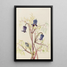 Clématite hirsute Clematis hirsutissima - Mary Vaux Walcott — framed artwork on a wall