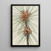 Pin des marais Pinus taeda - Mary Vaux Walcott — framed artwork on a wall